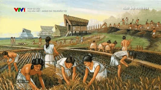 Netizen phát hiện hình ảnh văn minh Nhật Bản thời kỳ Yayoi xuất hiện trong phóng sự về văn hóa Việt Nam!