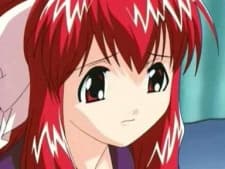 Kingyo no Ran