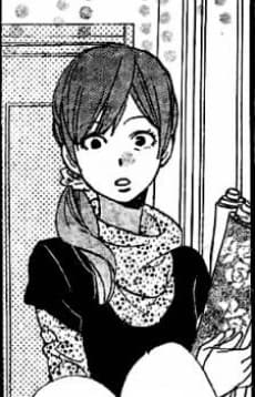 Erika no Haha
