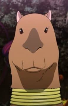 Capybara  Kemonohito