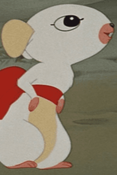 Chonko