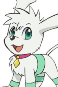 Roko