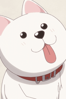 Inu