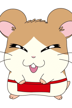 Maido-kun