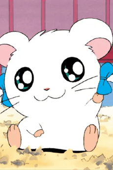 Ribon-chan