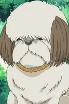 Chocola Noda