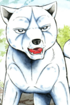 Akame