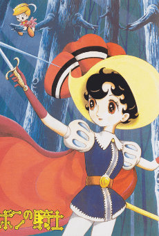 Princess Knight poster