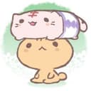 Kotamaru