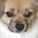 Biti