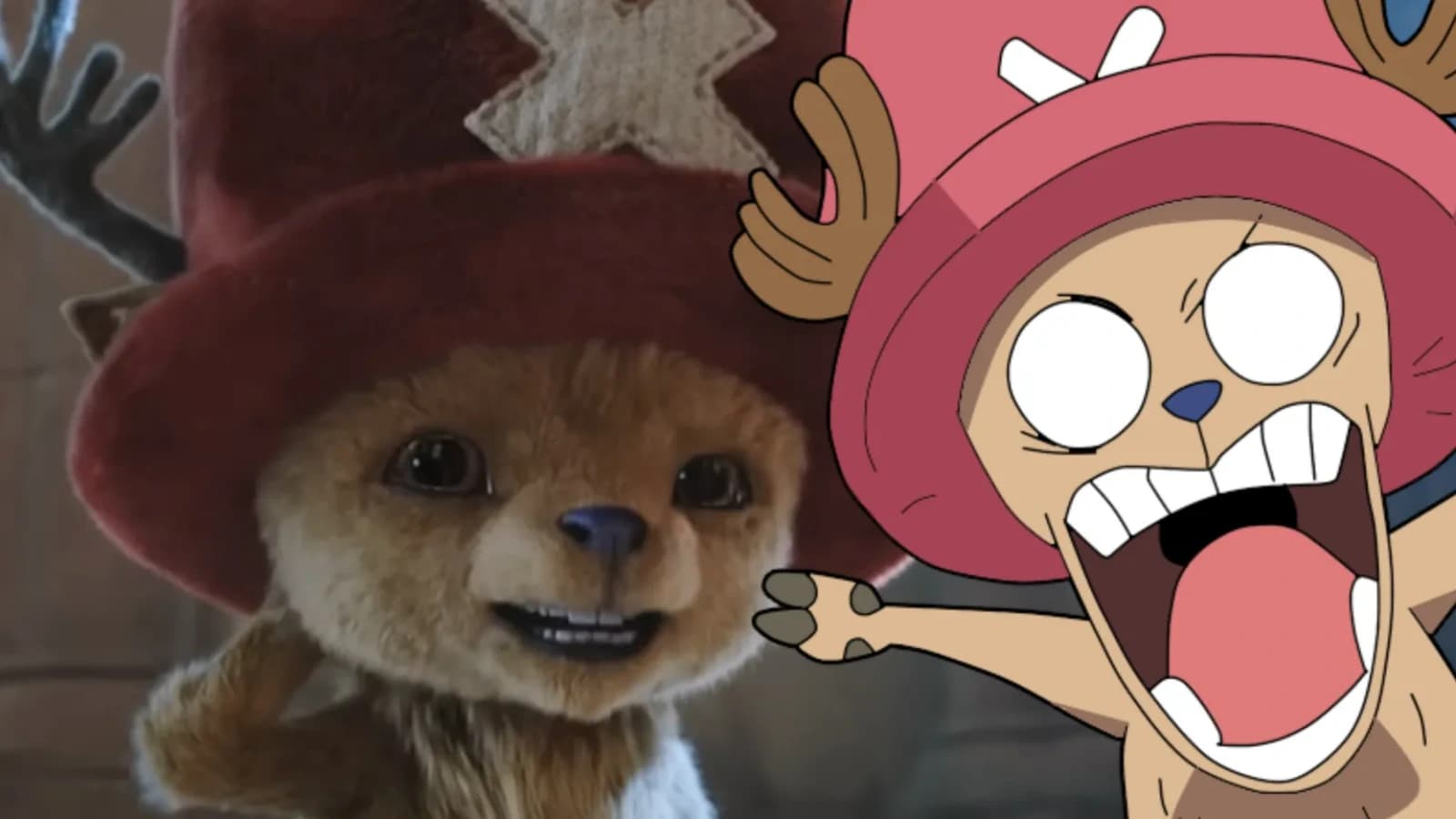 Tác giả ''One Piece'' lý giải việc thay đổi thiết kế Chopper trong bản live-action của Netflix để "thú bông" hơn!